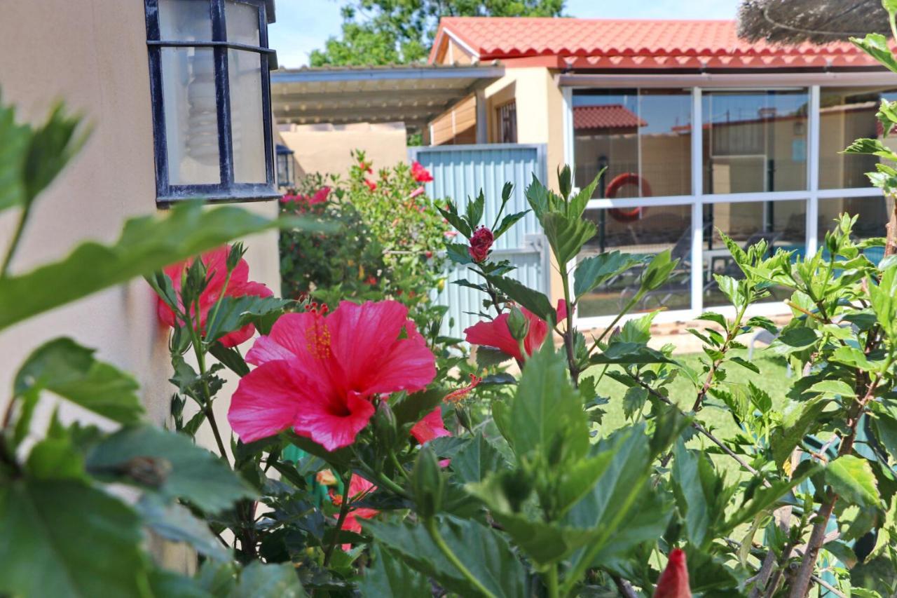 Bungalow Curro Pareja 97 Conil De La Frontera Buitenkant foto